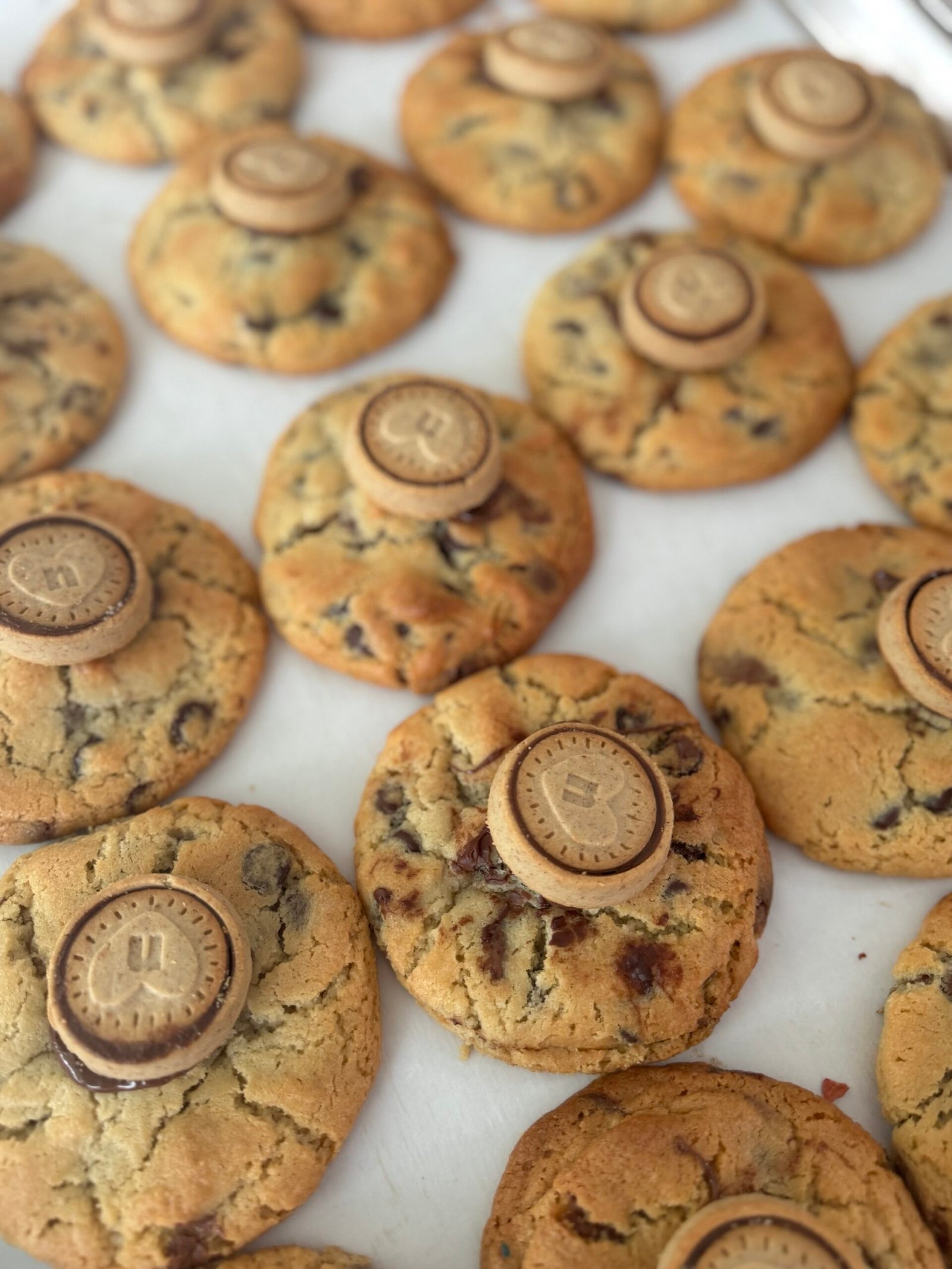 Nutella Chocolate Chip
